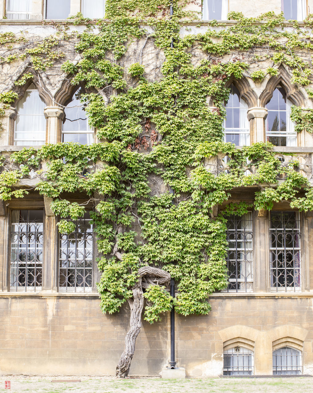 VIEW OF BUILDING AGAINST TREES