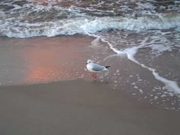 Waves in sea