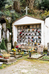 View of cemetery against building