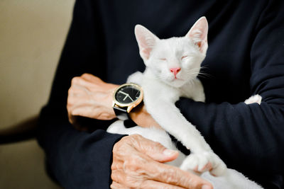 Midsection of man holding cat