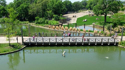 High angle view of people by lake against trees