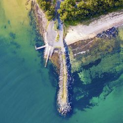 High angle view of turtle in sea