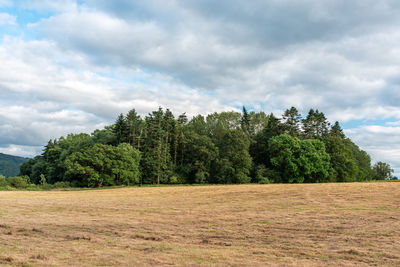 Trees on field against sky