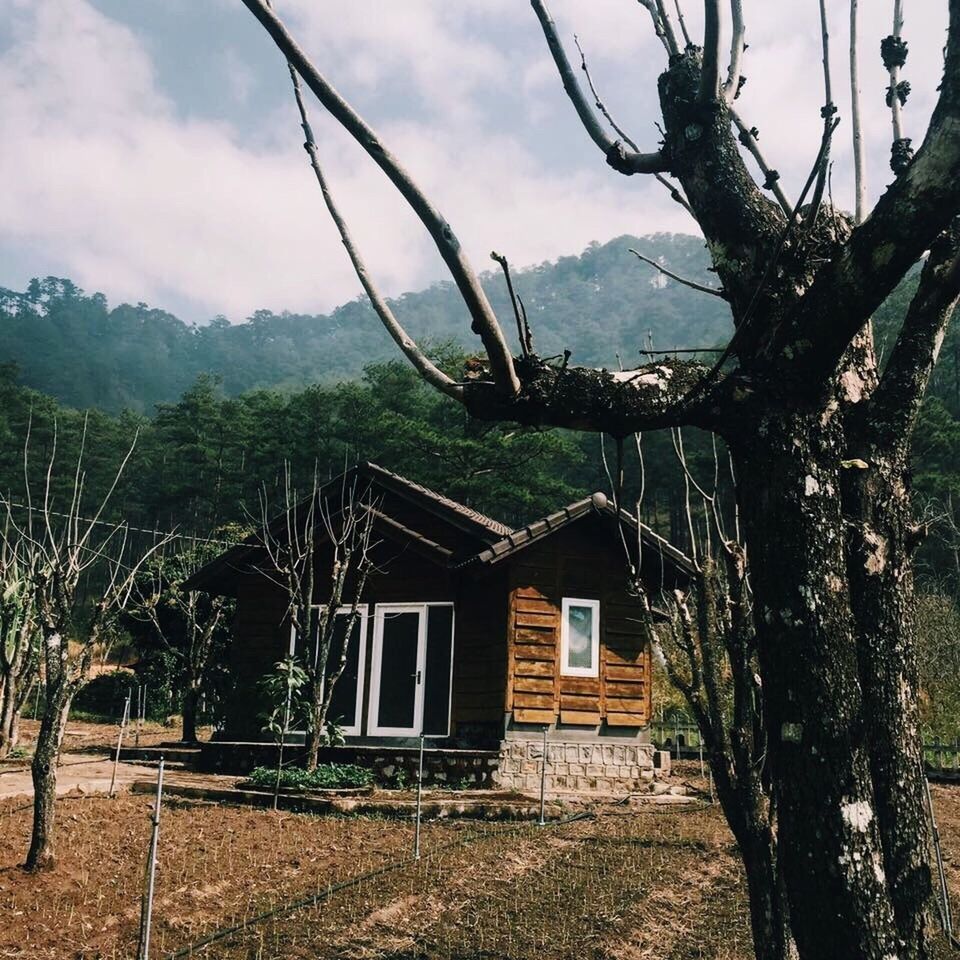 architecture, built structure, house, tree, building exterior, mountain, branch, sky, cloud - sky, outdoors, day, rural scene, nature, green color, tranquility, no people, the way forward, tranquil scene, remote, scenics