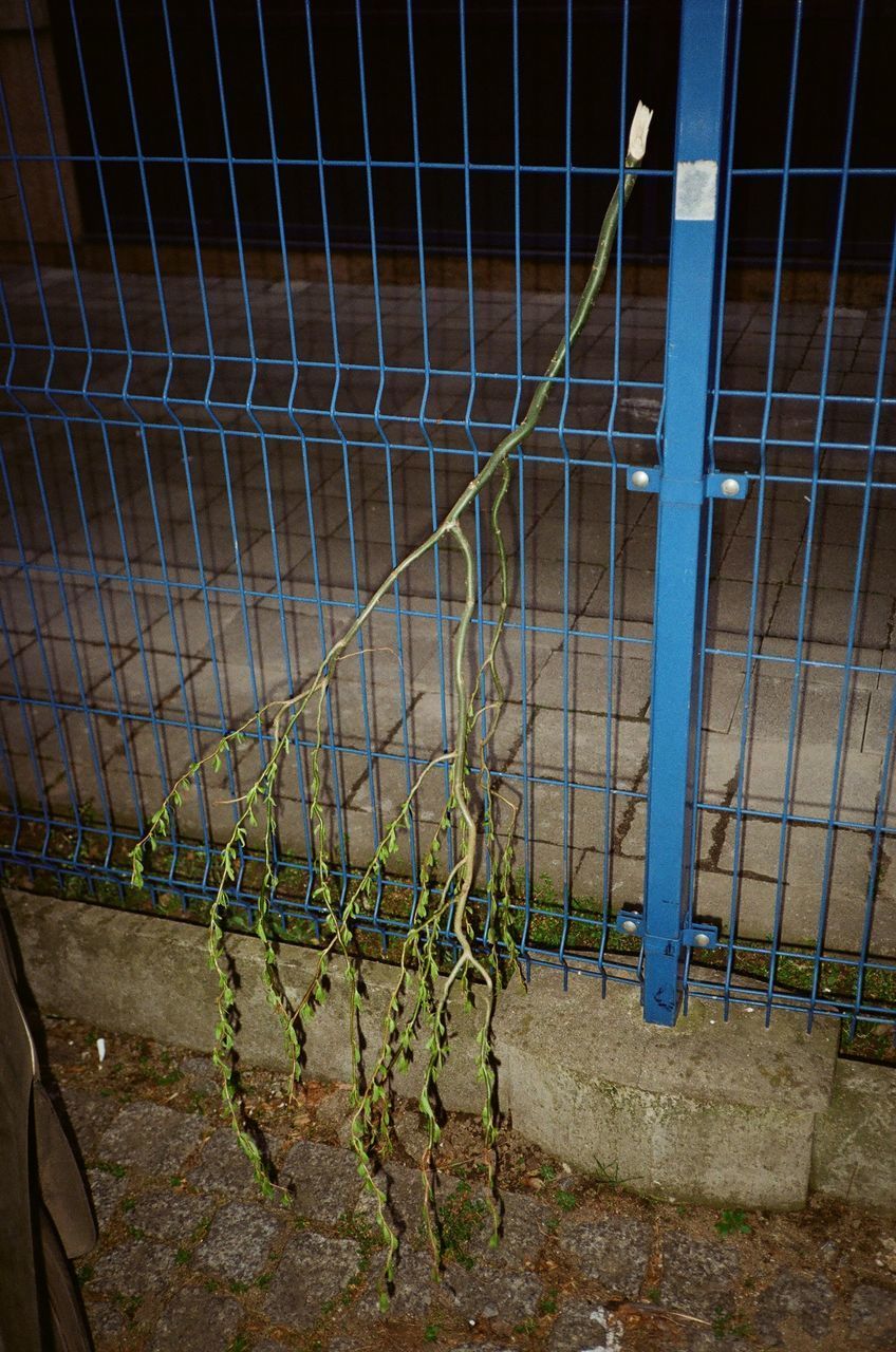 HIGH ANGLE VIEW OF METAL FENCE