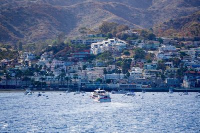 Sailboats in sea with city in background