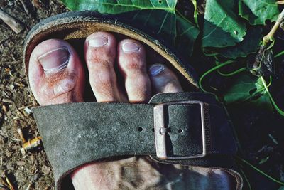 Close-up of human hand