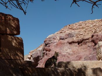 Low angle view of rock formation against clear blue sky