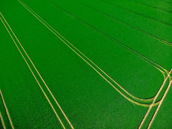 Full frame shot of agricultural field