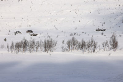 Scenic view of snow covered field