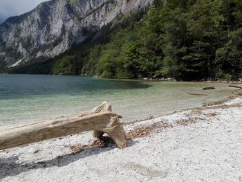 Scenic view of lake in forest