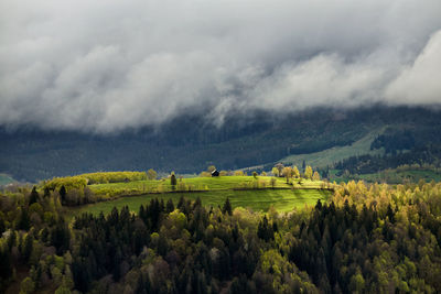 Scenic view of rural landscape
