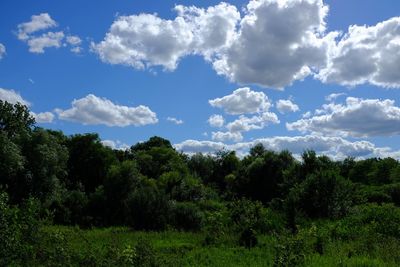 View of trees on landscape against sky