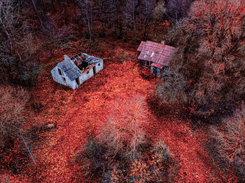 High angle view of autumn trees on field