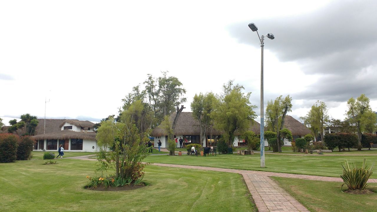 building exterior, street light, tree, architecture, built structure, sky, grass, the way forward, house, footpath, street, lighting equipment, lawn, green color, road, empty, incidental people, lamp post, day, outdoors