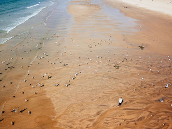 High angle view of woman photographing while standing at beach