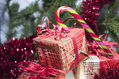 Close-up of christmas decorations on plant