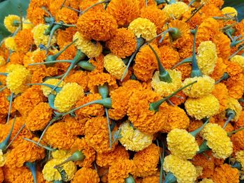 Full frame shot of fresh yellow flowers for sale in market