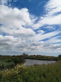 Scenic view of field against sky