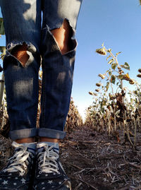 Low section of man standing on field