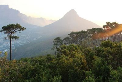 Scenic view of mountains