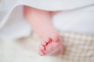 Low section of baby feet