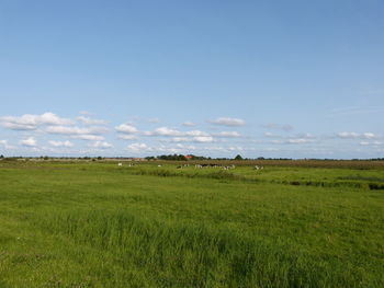 Scenic view of green landscape against sky