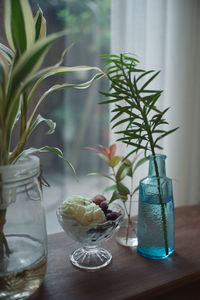 Potted plant in glass vase on table