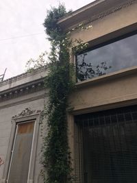 Low angle view of built structure against sky