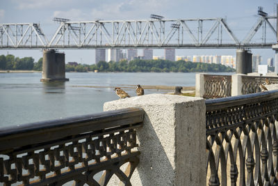 View of bridge over river