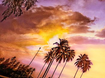 Low angle view of coconut palm tree against dramatic sky