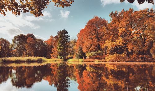 Reflection of trees in lake