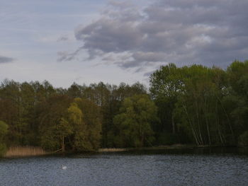 Scenic view of river and trees against sky