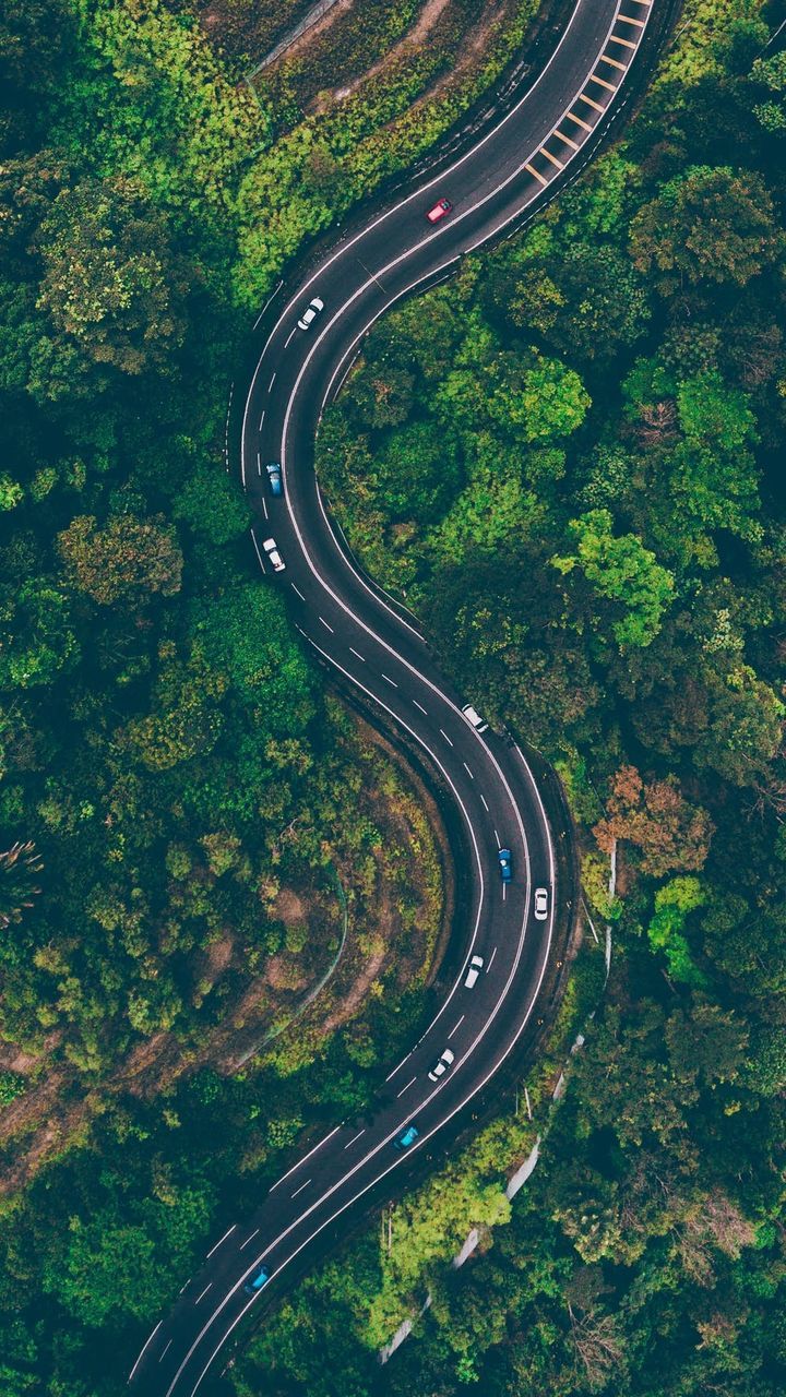 transportation, road, curve, mode of transportation, plant, high angle view, tree, nature, highway, no people, aerial view, car, day, connection, green color, land vehicle, motor vehicle, direction, outdoors, city, multiple lane highway