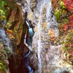 Close-up of water flowing in autumn