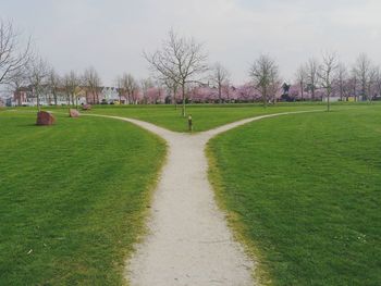 Scenic view of grassy field against sky