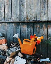 Flowers in watering can by wooden wall at backyard