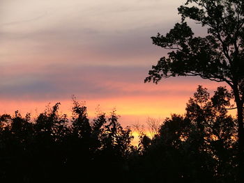 Silhouette trees against sky during sunset
