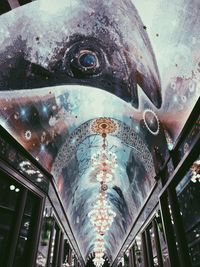 Low angle view of fish for sale in market