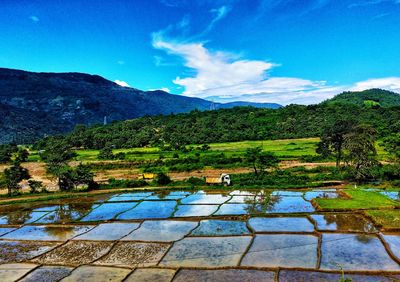 Scenic view of field against sky