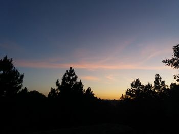 Silhouette trees against sky during sunset