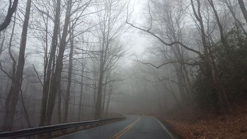 Road amidst trees in forest during foggy weather