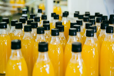 Rows of bottles filled with yellow liquid