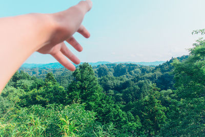 Cropped hand of woman against green landscape during sunny day