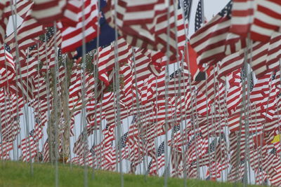 Low angle view of flag