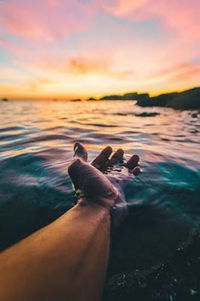 Close-up of duck in sea at sunset