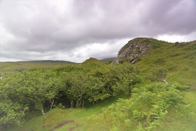Scenic view of land against sky
