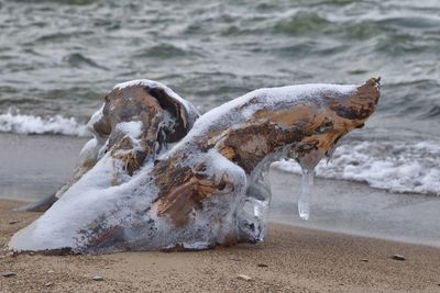 Sea waves splashing on beach