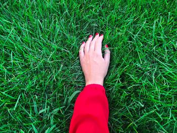 Cropped hand of woman touching grass on field