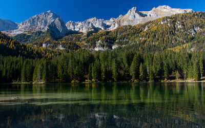 Scenic view of lake with trees and mountains reflection against clear sky